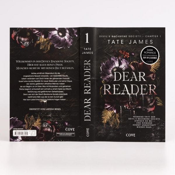 Produktbild: Dear Reader (Devil's Backbone Society 1)
