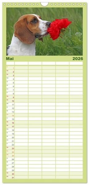 Produktbild: Familienplaner 2026 - DER BEAGLEige TERMINPLANER mit 5 Spalten (Wandkalender, 21 x 45 cm) CALVENDO