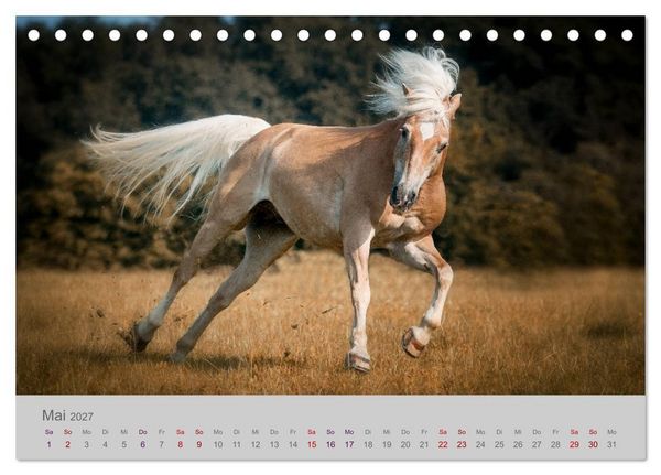 Produktbild: Pferde - Anmut, Eleganz, Magie (Tischkalender 2027 DIN A5 quer), CALVENDO Monatskalender