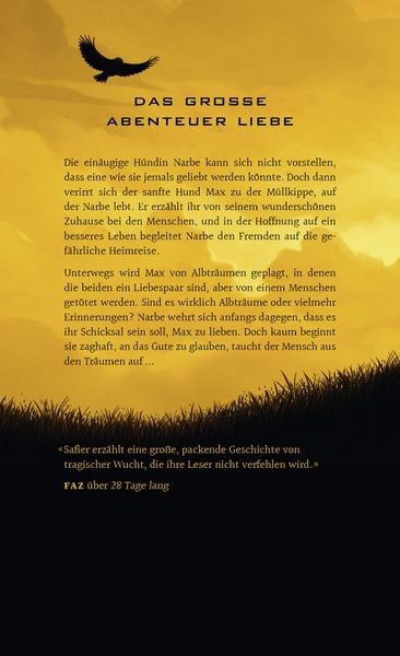 Produktbild: Die Ballade von Max und Amelie