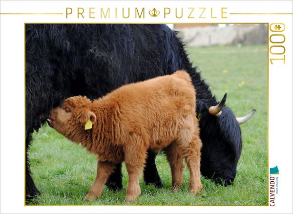 Produktbild: CALVENDO Puzzle Das hungrige Jungtier sch&auml;tzt nicht nur den Schutz durch die Mutter, sondern auch ihre Milch. | 1000 Teile Lege-Gr&ouml;&szlig;e 64x48cm Foto-Puz