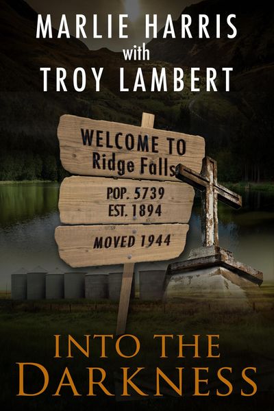 Produktbild: Into the Darkness (Ridge Falls, #1)