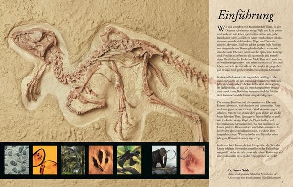 Wissen für clevere Kids. Dinosaurier und andere Tiere der Urzeit für clevere Kids