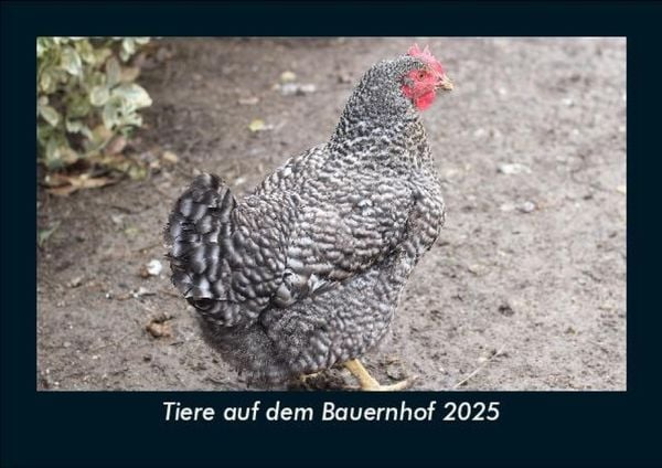 Produktbild: Tiere auf dem Bauernhof 2025 Fotokalender DIN A5