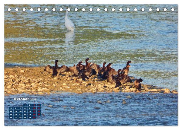 Produktbild: Herrliches Arno Tal - Wanderurlaub in der Toskana (Tischkalender 2026 DIN A5 quer), CALVENDO Monatskalender