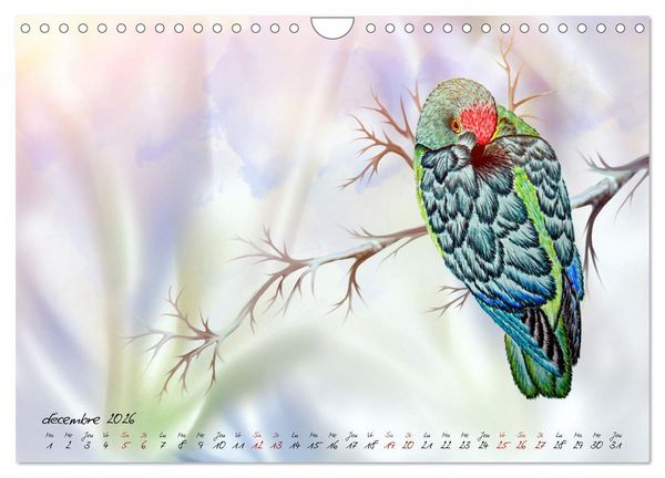 Produktbild: Dessins de perroquets (Calendrier mural 2026 DIN A4 vertical), CALVENDO calendrier mensuel