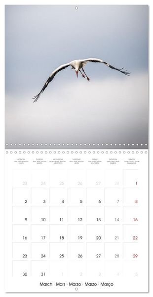 Produktbild: Whispers of Wings (Wall Calendar 2026 12 &times; 12 Inch) CALVENDO 12 Month Wall Calendar