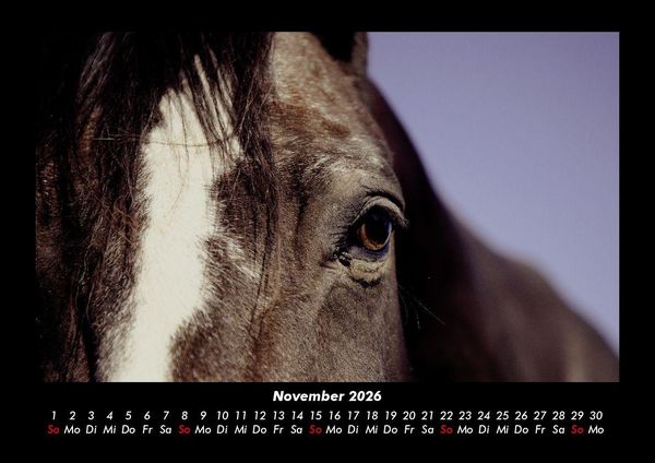 Produktbild: Pferdegefl&uuml;ster 2026 Fotokalender DIN A3