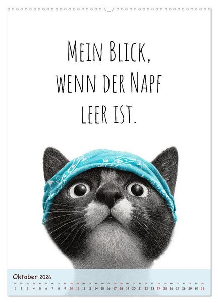 Produktbild: Katzenkult - Coolness auf vier Pfoten (Wandkalender 2026 DIN A2 hoch), CALVENDO Monatskalender