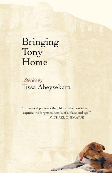 Produktbild: Bringing Tony Home