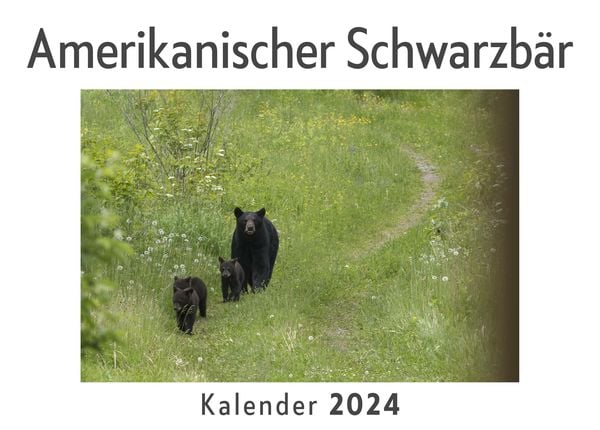 Produktbild: Amerikanischer Schwarzb&auml;r (Wandkalender 2024, Kalender DIN A4 quer, Monatskalender im Querformat mit Kalendarium, Das perfekte Geschenk)