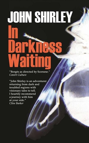 Produktbild: In Darkness Waiting