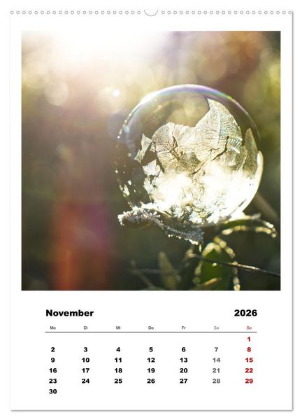 Produktbild: Frostige Seifenblasen (hochwertiger Premium Wandkalender 2026 DIN A2 hoch), Kunstdruck in Hochglanz