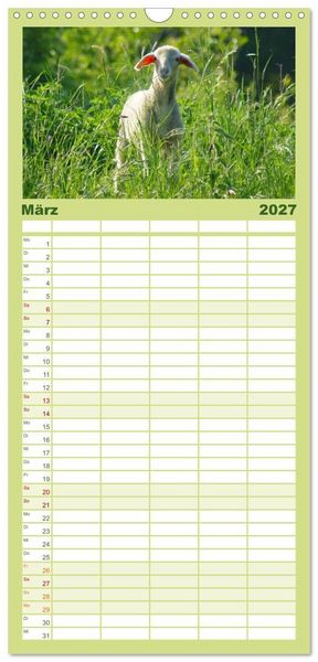 Produktbild: Familienplaner 2027 - Das Leben der Schafe mit 5 Spalten (Wandkalender, 21 x 45 cm) CALVENDO