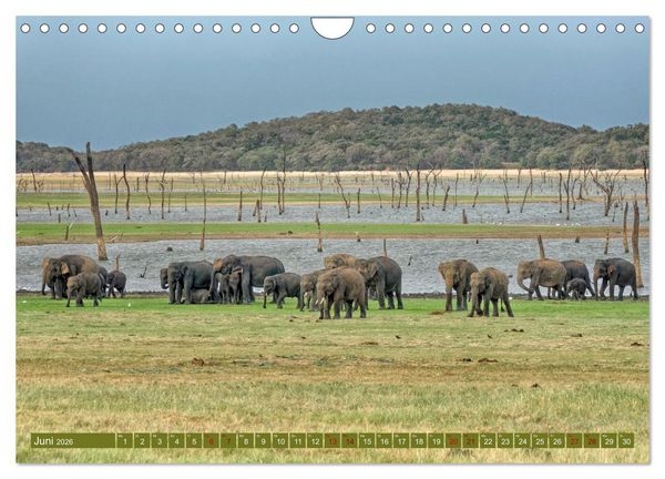 Produktbild: Magic Places - Sehnsuchtsorte nah und fern (Wandkalender 2026 DIN A4 quer), CALVENDO Monatskalender