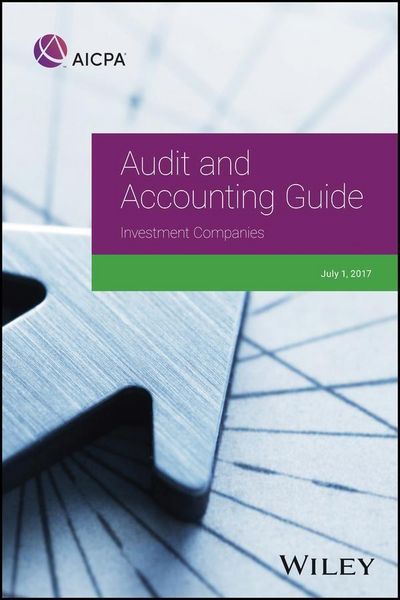 Produktbild: Audit and Accounting Guide
