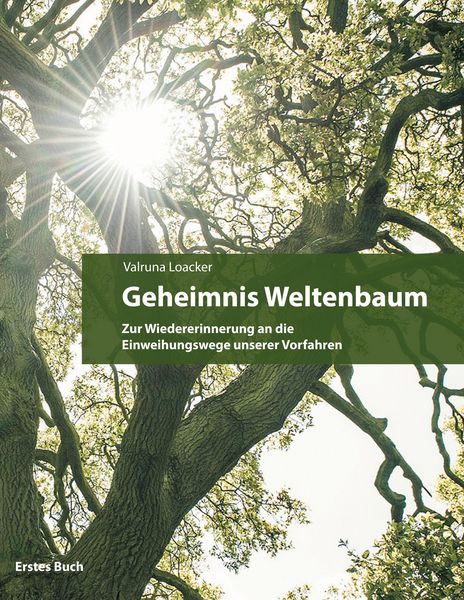 Produktbild: Geheimnis Weltenbaum