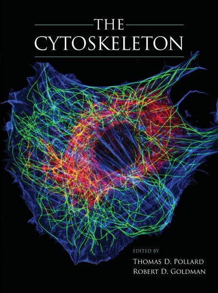 Produktbild: The Cytoskeleton