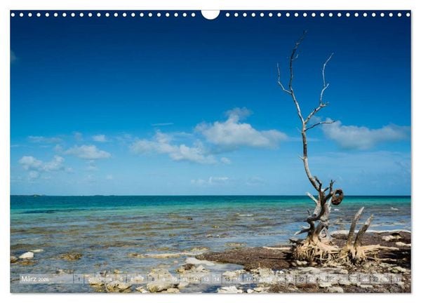 Produktbild: Florida. Sonne und Meer (Wandkalender 2026 DIN A3 quer), CALVENDO Monatskalender