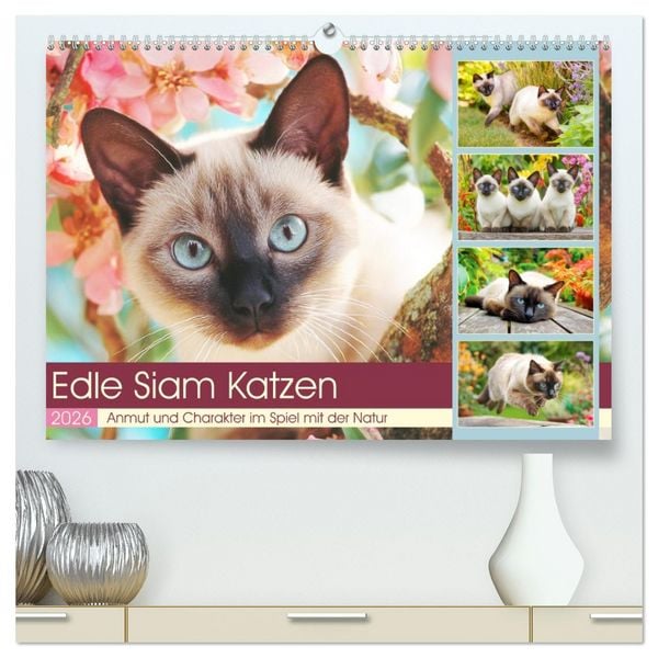 Produktbild: Edle Siamkatzen. Anmut und Charakter im Spiel mit der Natur (hochwertiger Premium Wandkalender 2026 DIN A2 quer), Kunstdruck in Hochglanz