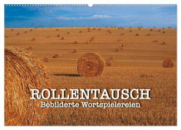 Produktbild: Rollentausch &ndash; Bebilderte Wortspielereien (Wandkalender 2026 DIN A2 quer), CALVENDO Monatskalender