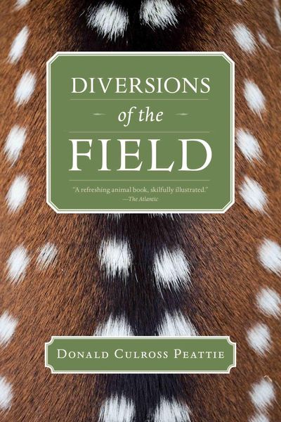 Produktbild: Diversions of the Field