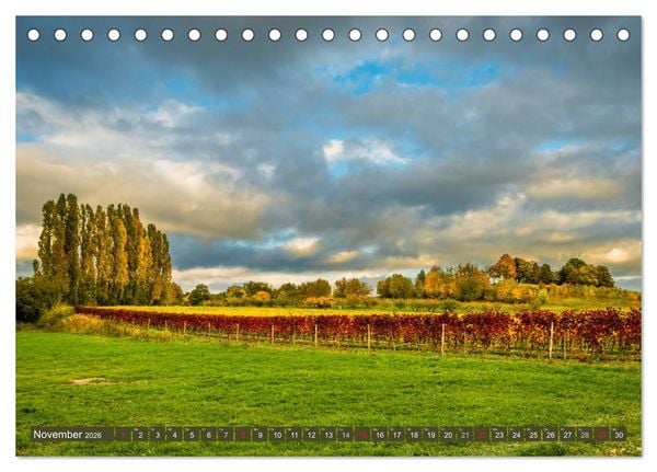 Produktbild: Kultur im Rheingau (Tischkalender 2026 DIN A5 quer), CALVENDO Monatskalender