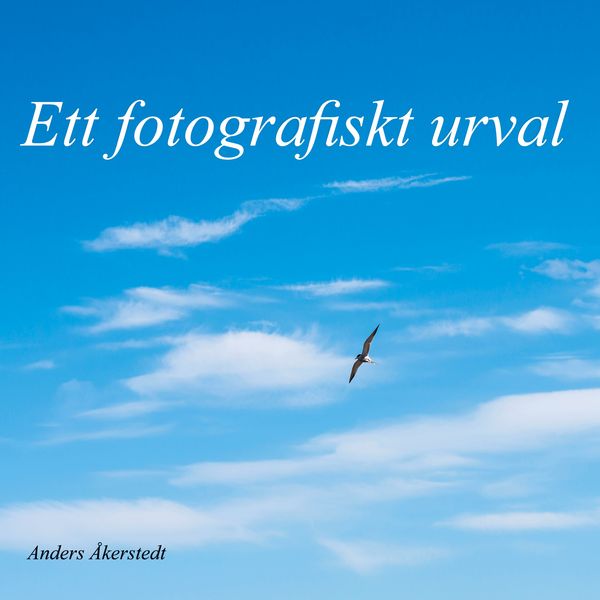 Produktbild: Ett fotografiskt urval