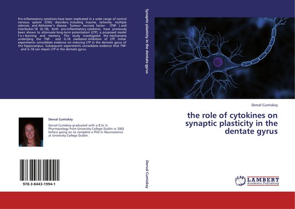 Produktbild: The role of cytokines on synaptic plasticity in the dentate gyrus
