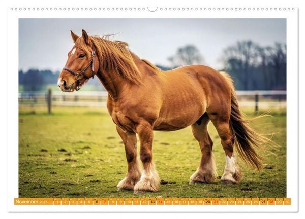 Produktbild: Arbeitspferde in Action (hochwertiger Premium Wandkalender 2027 DIN A2 quer), Kunstdruck in Hochglanz