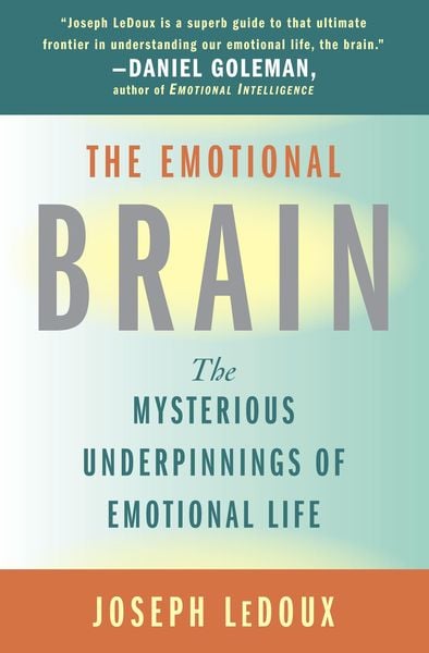 Produktbild: The Emotional Brain