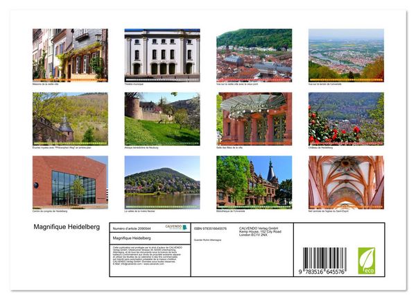 Produktbild: Magnifique Heidelberg (Calendrier mural 2026 DIN A4 vertical), CALVENDO calendrier mensuel