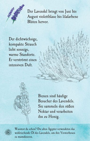 Produktbild: Natur-Entdecker-Karten: Unsere heimischen Blumen