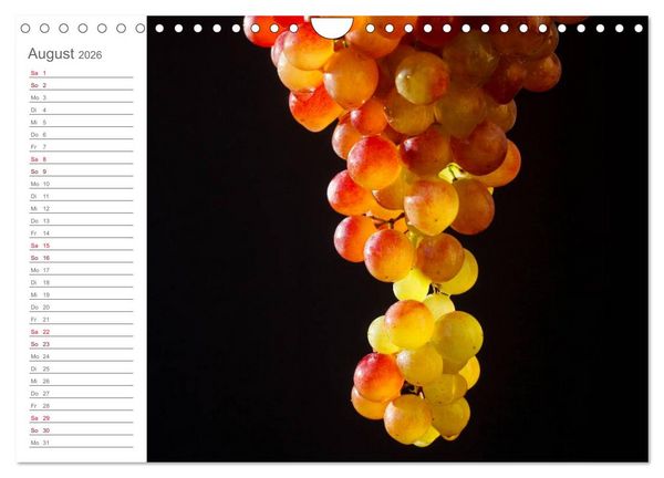 Produktbild: Wein (Wandkalender 2026 DIN A4 quer), CALVENDO Monatskalender