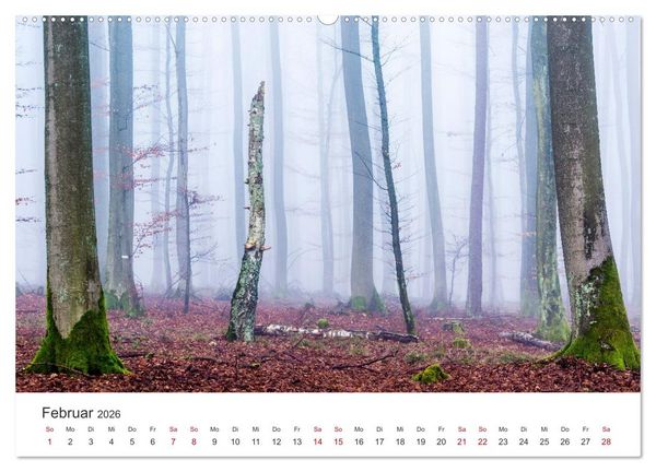 Produktbild: Im Deutschen Wald (Wandkalender 2026 DIN A2 quer), CALVENDO Monatskalender