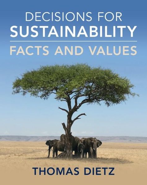 Produktbild: Decisions for Sustainability