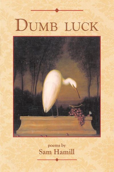 Produktbild: Dumb Luck