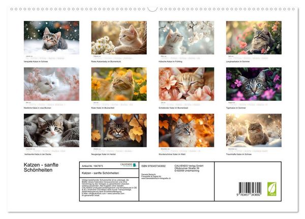 Produktbild: Katzen - sanfte Sch&ouml;nheiten (hochwertiger Premium Wandkalender 2026 DIN A2 quer), Kunstdruck in Hochglanz