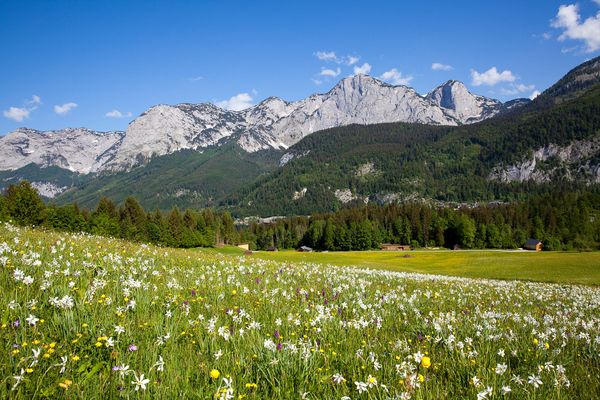 Produktbild: Naturjuwel Salzkammergut