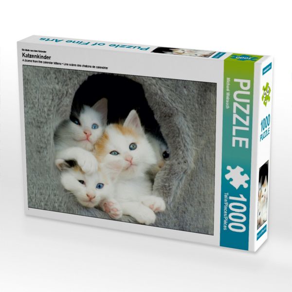 Ein Motiv aus dem Kalender Katzenkinder (Puzzle)