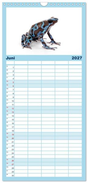 Produktbild: Familienplaner 2027 - Farbenpracht der Fr&ouml;sche mit 5 Spalten (Wandkalender, 21 x 45 cm) CALVENDO