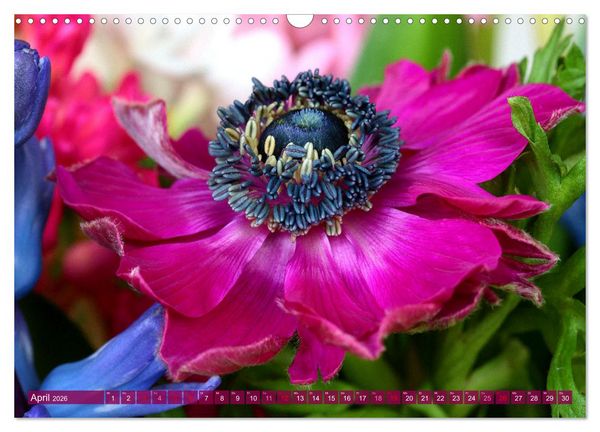 Produktbild: Blumen - Eine bunte Mischung (Wandkalender 2026 DIN A3 quer), CALVENDO Monatskalender