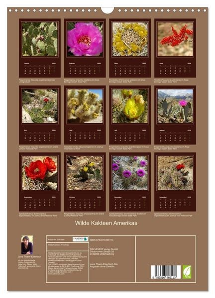 Produktbild: Wilde Kakteen Amerikas (Wandkalender 2026 DIN A3 hoch), CALVENDO Monatskalender