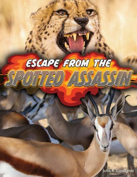 Produktbild: Escape From the Spotted Assassin