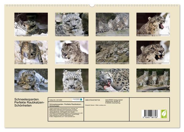 Produktbild: Schneeleoparden. Perfekte Raubkatzen-Sch&ouml;nheiten (hochwertiger Premium Wandkalender 2026 DIN A2 quer), Kunstdruck in Hochglanz