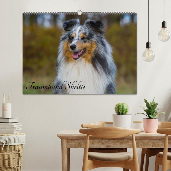 Produktbild: Traumhund Sheltie (Wandkalender 2026 DIN A2 quer), CALVENDO Monatskalender