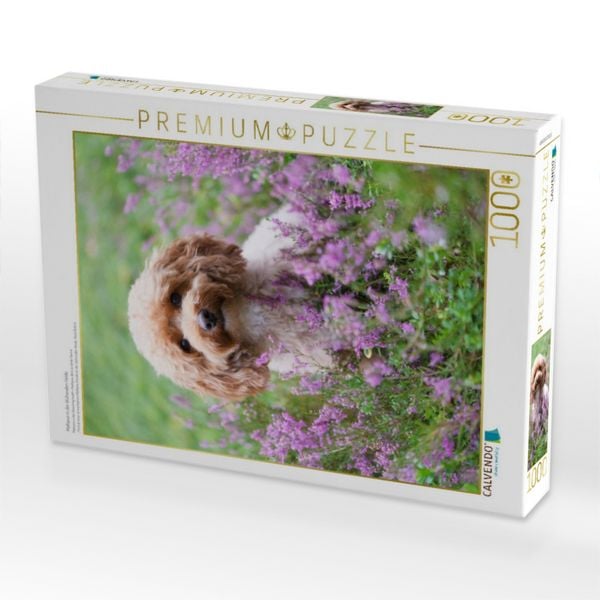 Produktbild: CALVENDO Puzzle Maltipoo in der bl&uuml;henden Heide | 1000 Teile Lege-Gr&ouml;&szlig;e 64x48cm Foto-Puzzle f&uuml;r gl&uuml;ckliche Stunden