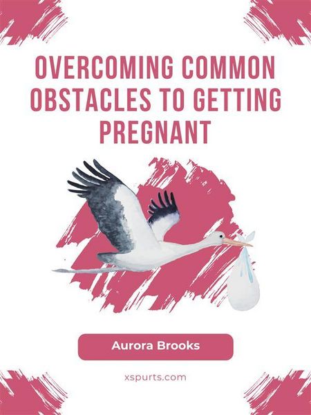 Produktbild: Overcoming Common Obstacles to Getting Pregnant