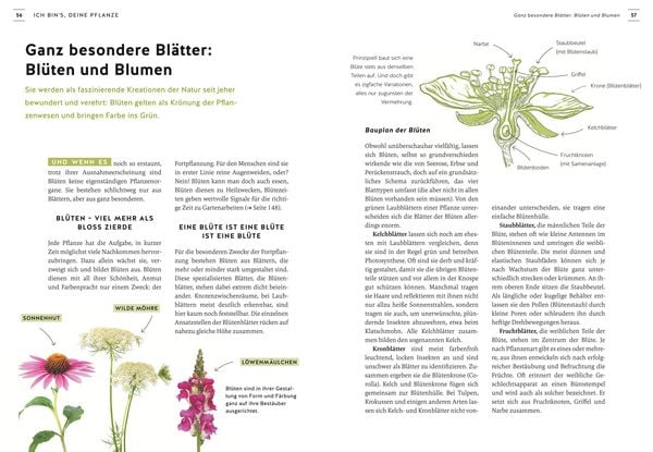 Produktbild: Pflanzen endlich verstehen