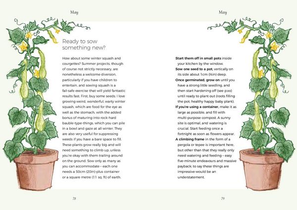 Produktbild: The Five Minute Garden